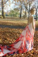 thumb_IMG_6400_1024